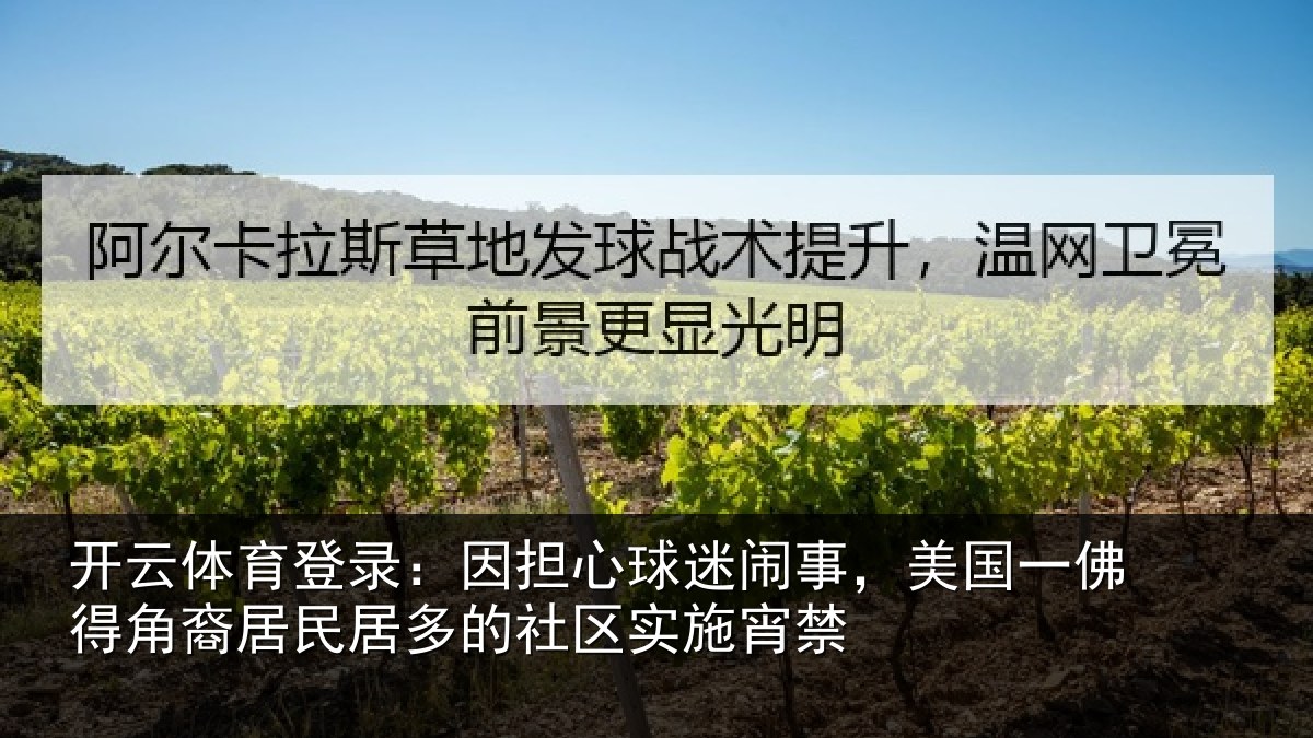开云体育登录：因担相关情况佛得相关情况区实施宵禁