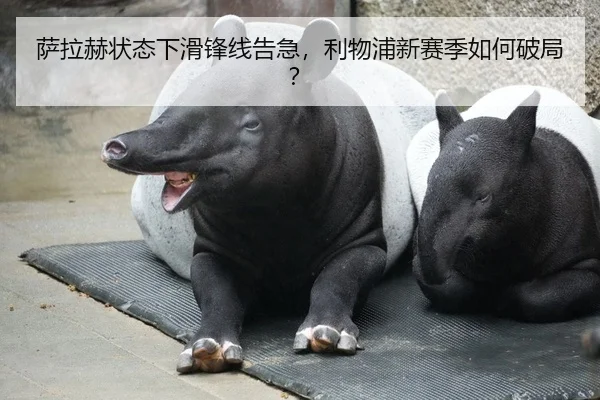 萨拉赫状态下滑锋线告急，利物浦新赛季如何破局？